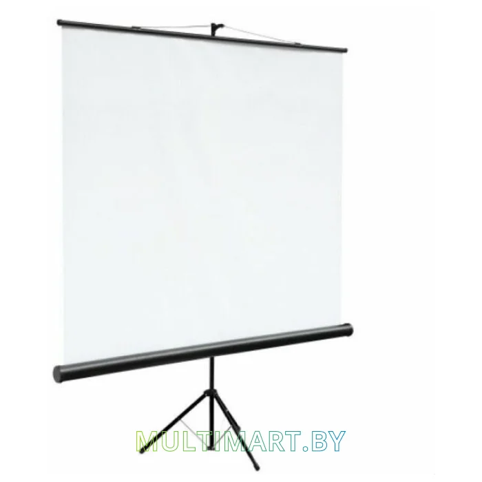 Проекционный экран Classic Solution Libra 220x220 (T 220x220/1 MW-SS/B)
